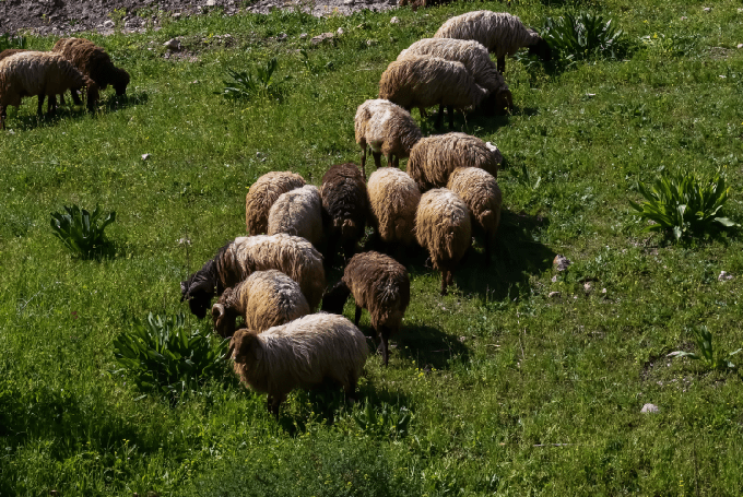 Assessoria tècnica agrícola per un servei complet