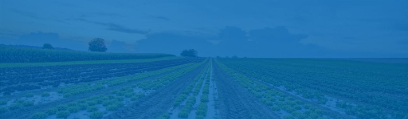Agrícola y ganadera Imagen de fondo
