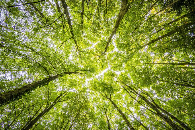 Consultoria Mediambiental